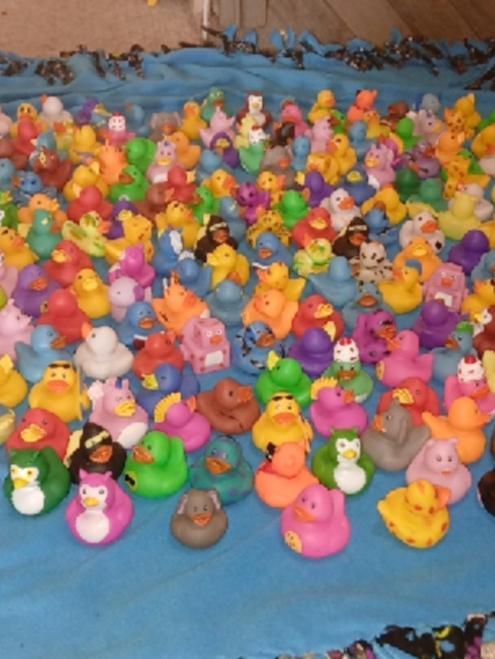 Large Colorful Rubber Duck Collection - Multi-Color - Picture 2 of 2